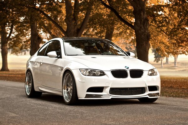 Auto sulla strada forestale di BMW di colore bianco