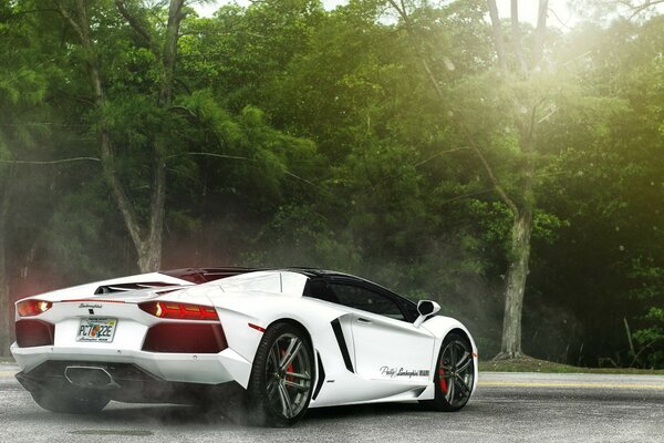 Coche blanco, carreras, en la carretera