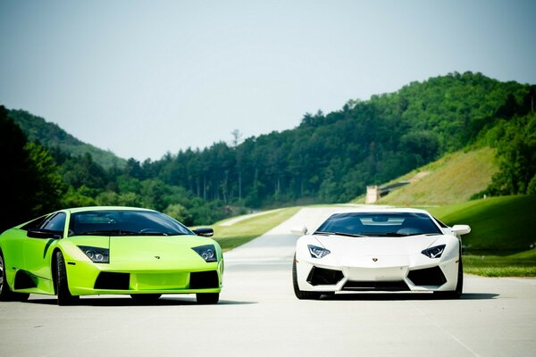 Two sports cars on the background of nature