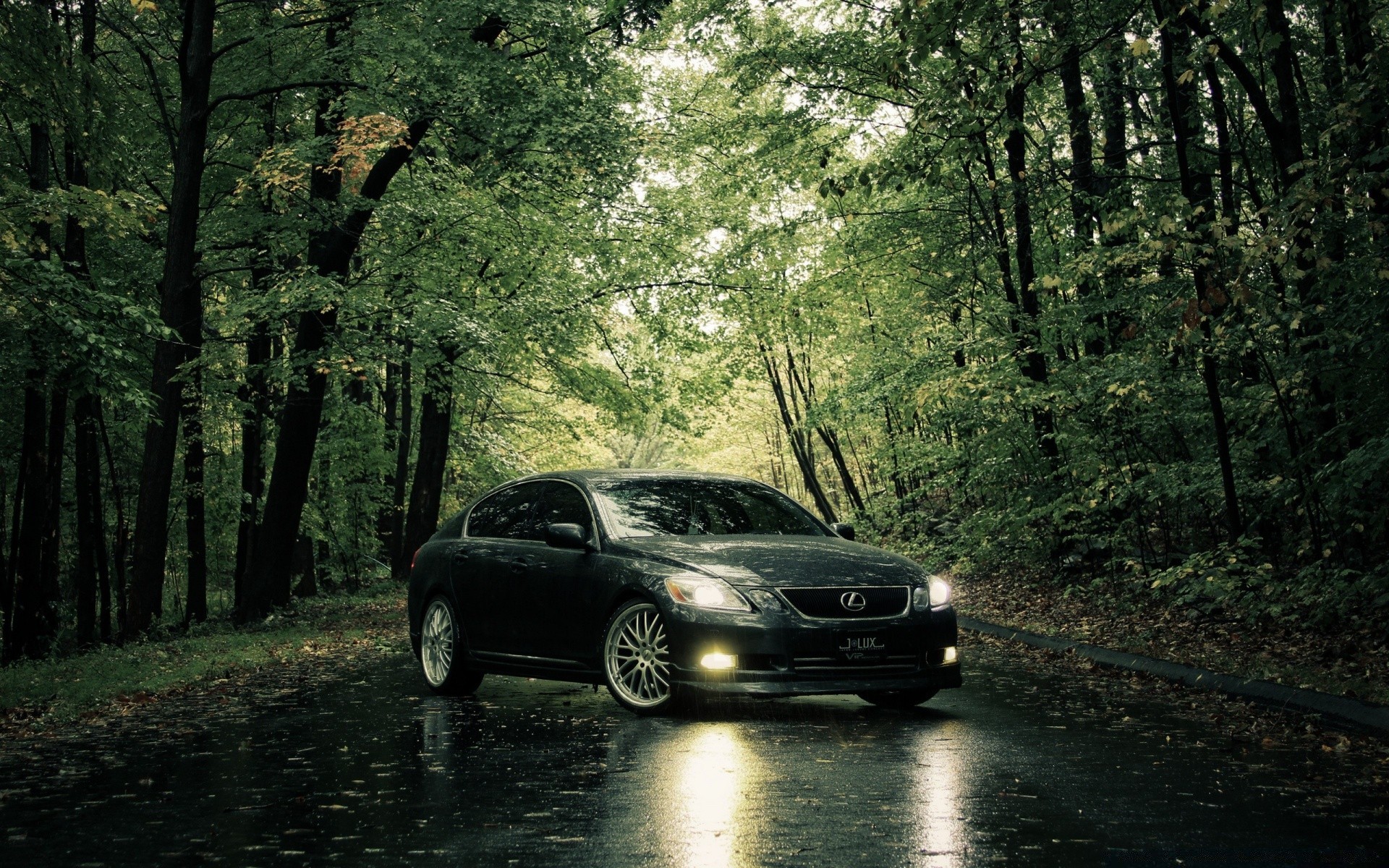 cars car wood road tree vehicle landscape wheel