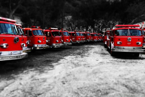 Camions de pompiers-rouge noir blanc