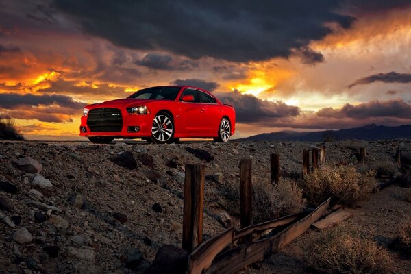 Red mustang on sunset background