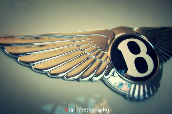 The macro emblem of the Bentley car