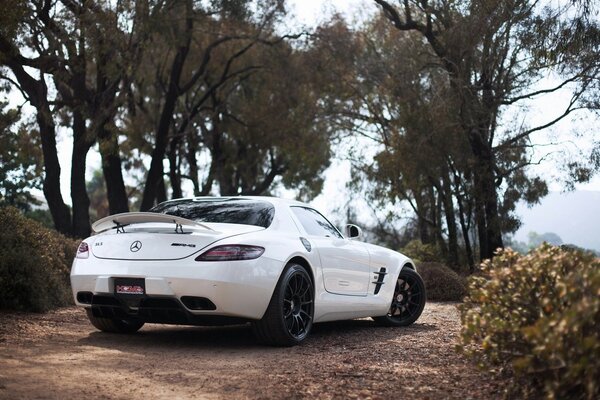 Carro ao ar livre