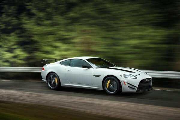 White Jaguar car with spoiler