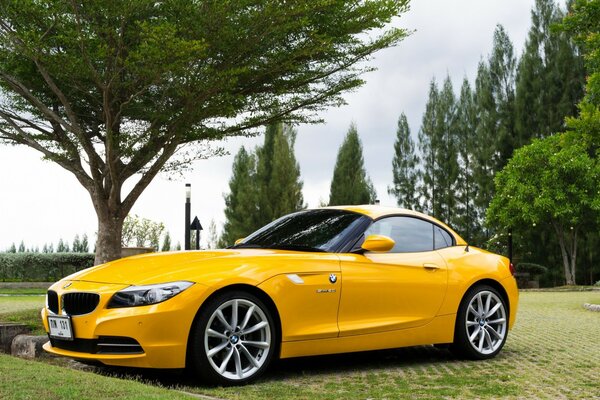 Une voiture jaune se tient près d un grand arbre