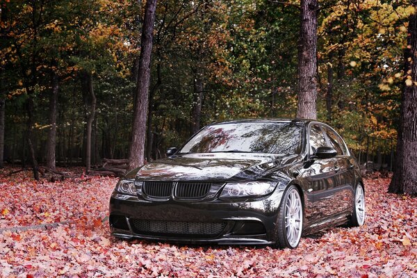 Black car parked in the woods