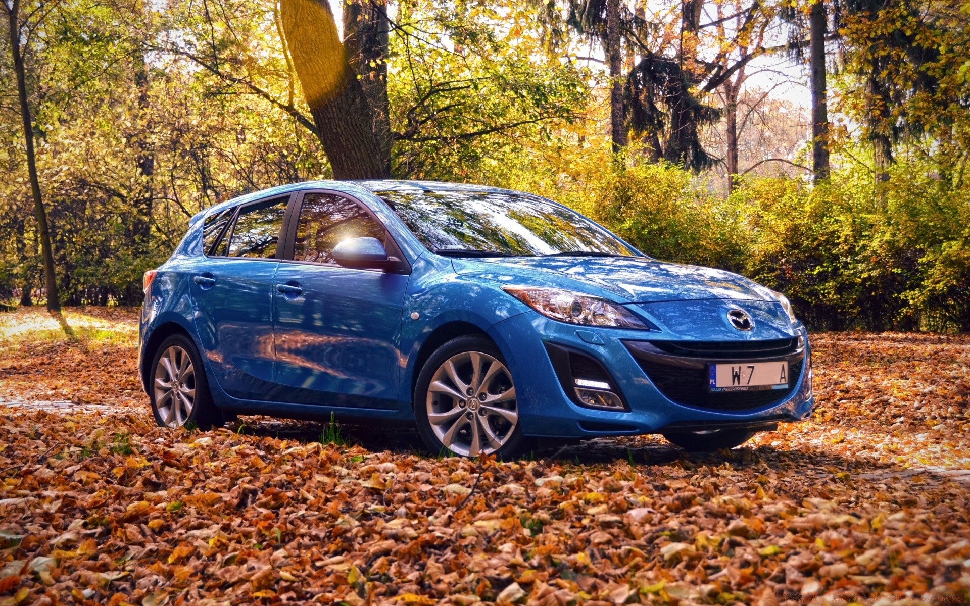 l autre technologie automobile automobile extérieur automne roues bois nature disque