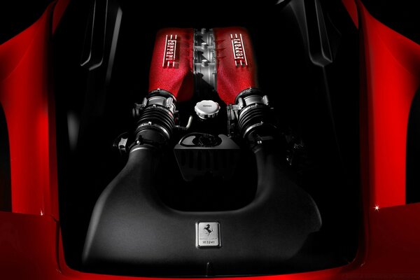 Hood of the red car motor