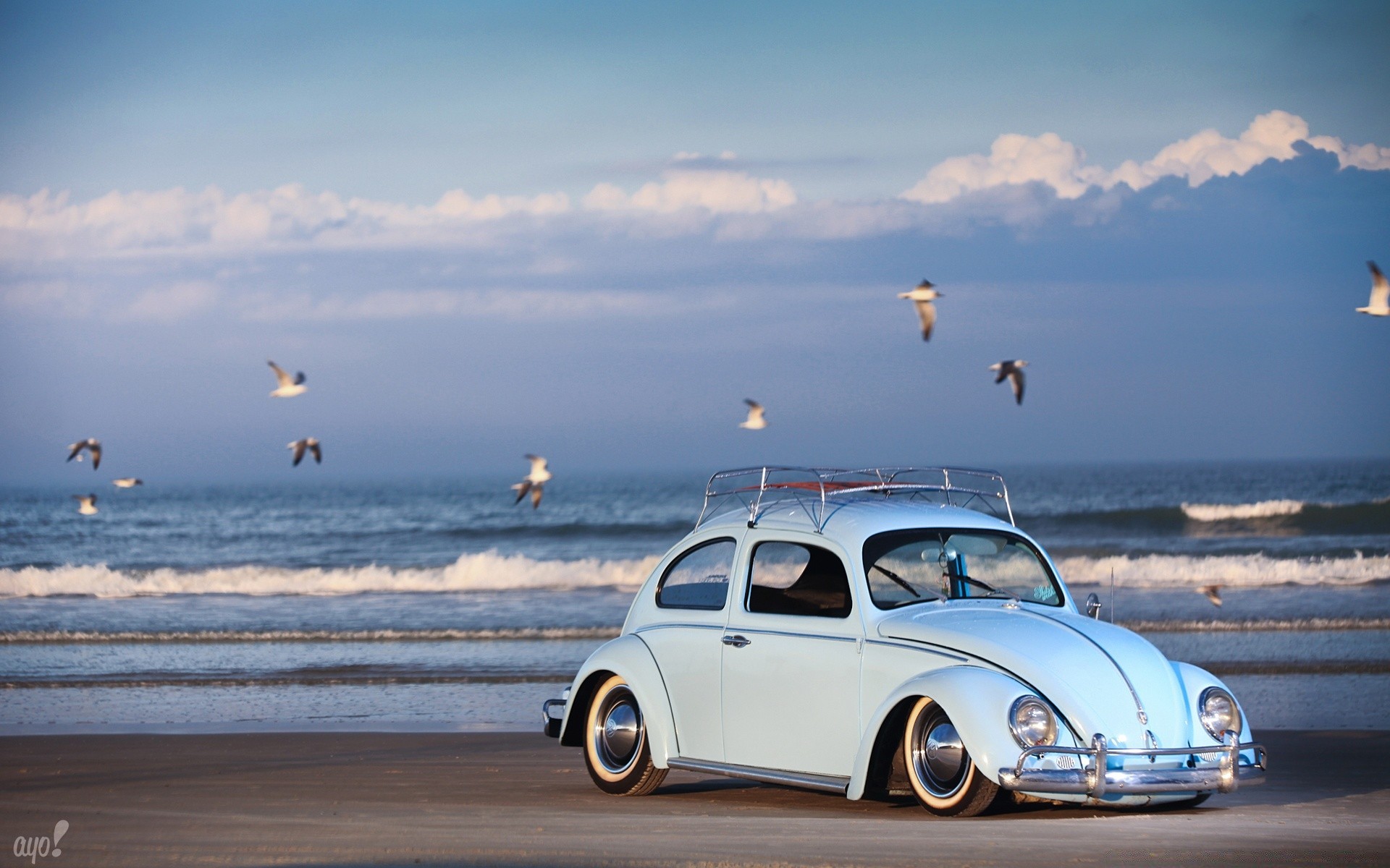 cars beach sea water ocean sunset travel vehicle sky summer sun seashore outdoors