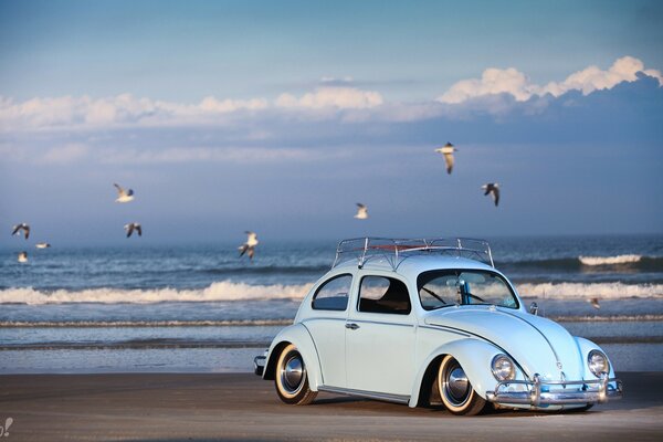 Voiture rétro au bord de la mer parmi les mouettes