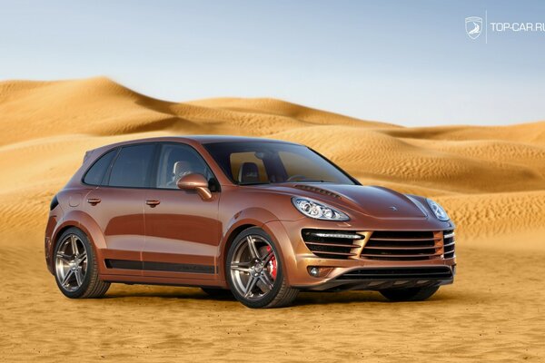 Car on the background of dunes and dunes