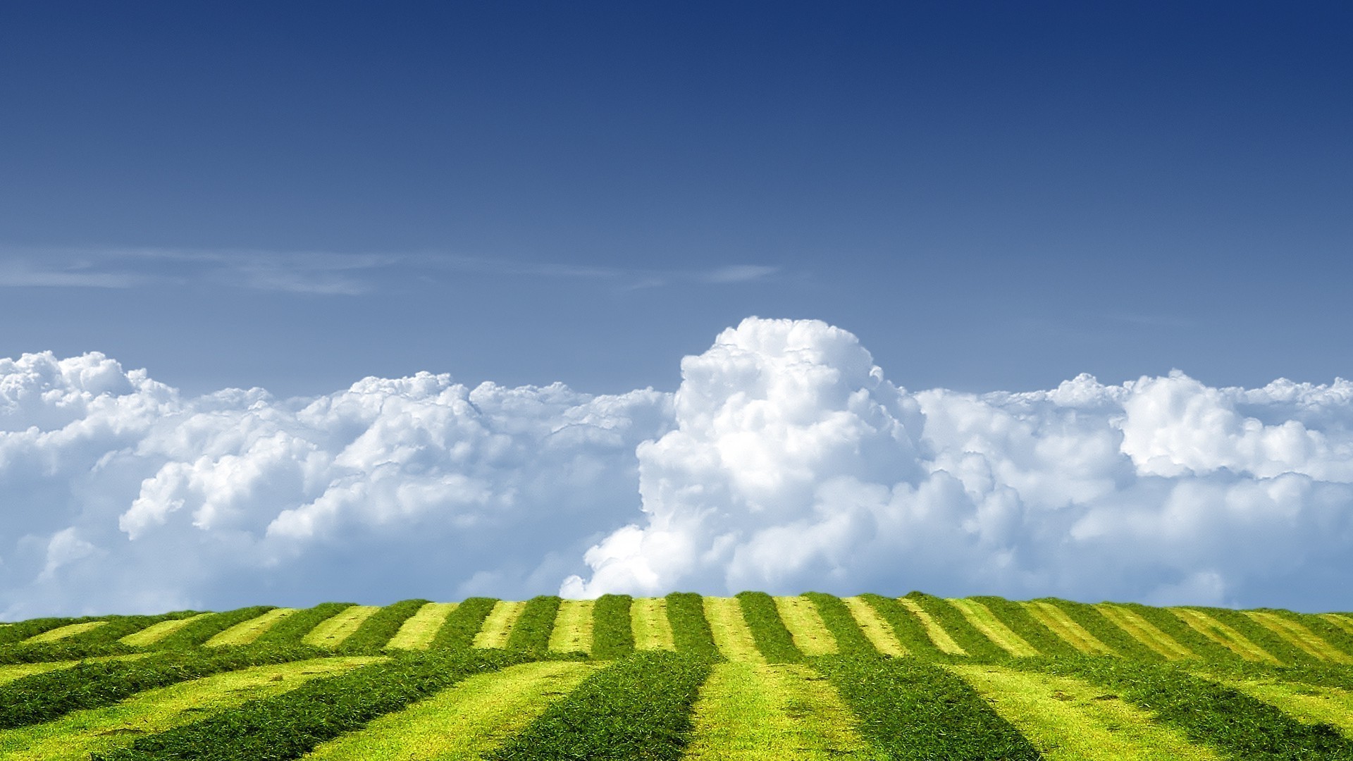 felder wiesen und täler des ländlichen raumes gras landschaft natur feld weide landschaft himmel sommer landwirtschaft ackerland boden im freien wachstum gutes wetter bauernhof sonne wolke