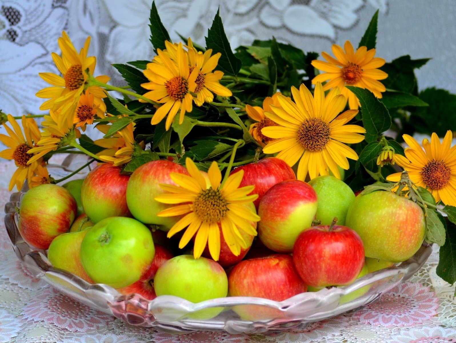 nourriture et boissons feuille fruits pomme nature automne repas été lumineux jardin