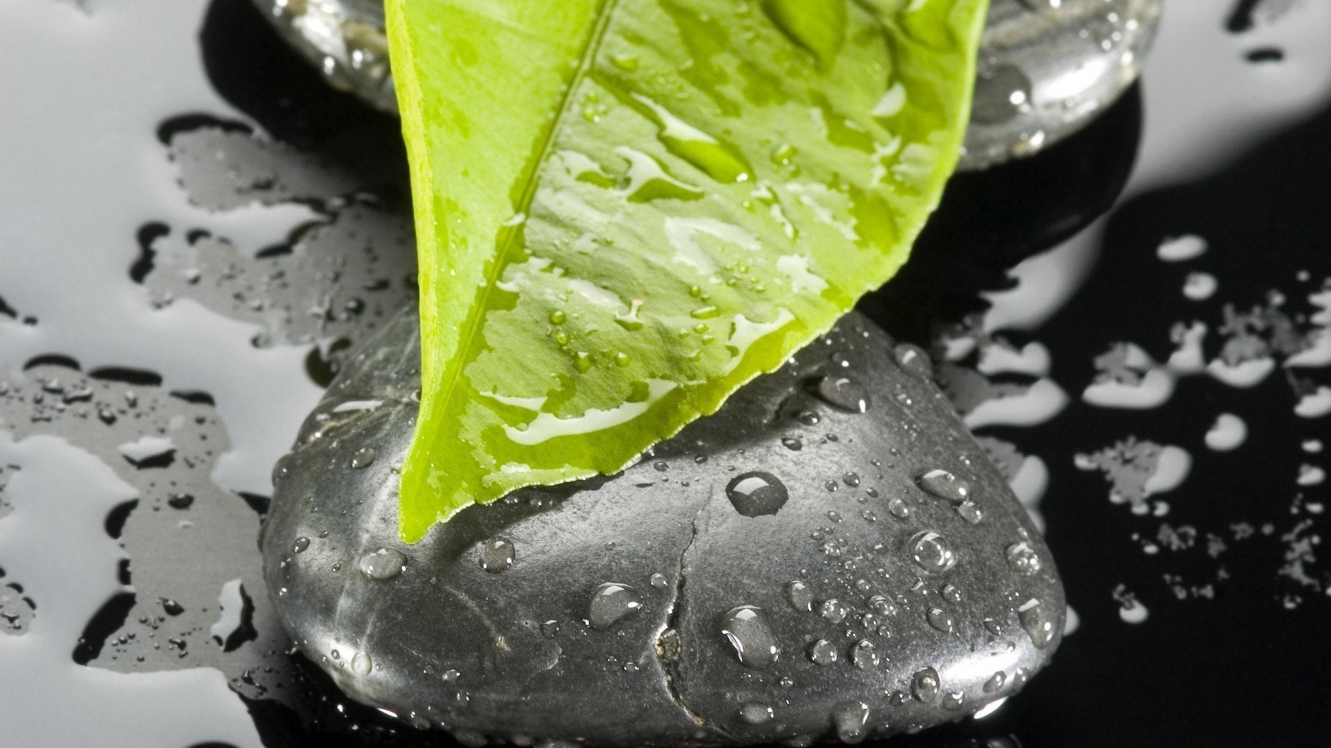 tröpfchen und wasser wasser tropfen nass regen blase gesundheit trinken sauber flüssigkeit gesund frische blatt kalt klar sauber tropfen lebensmittel glas welligkeit