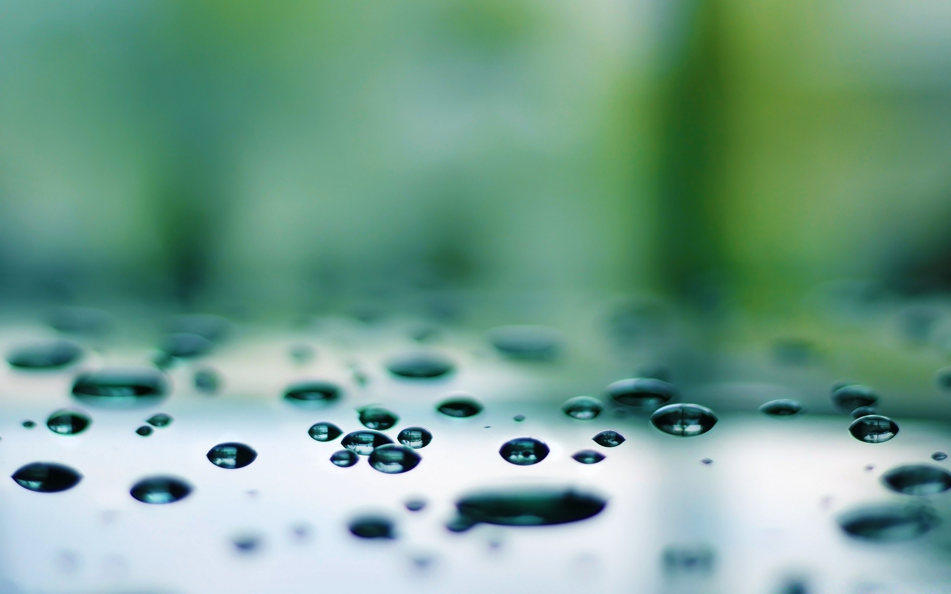 微距摄影 雨 秋 湿 露 模糊 滴 纯度 水 清洁 滴 特写