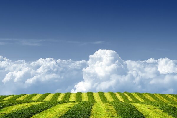 Landscape of the countryside. Fields and valleys