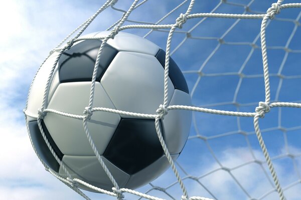 The soccer ball hit the net