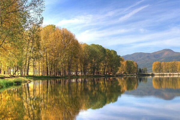 Reflection in the pond of the autumn forest