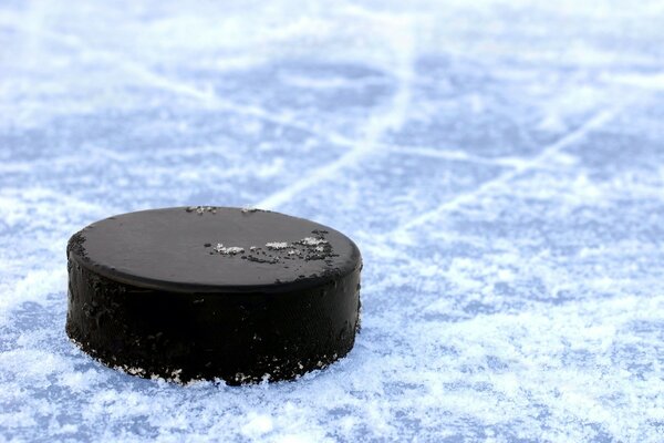 Disco de hockey sobre hielo congelado