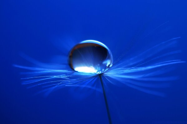 Macro photography A drop of water on a blue background