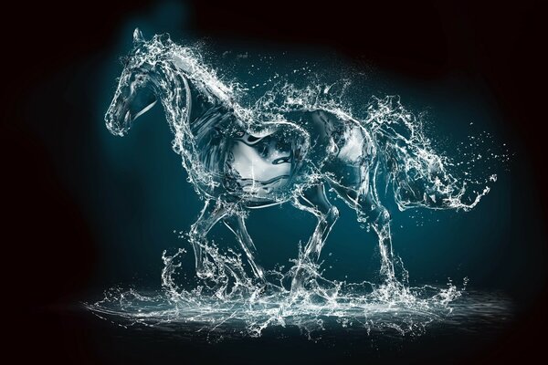 Cheval de course d eau