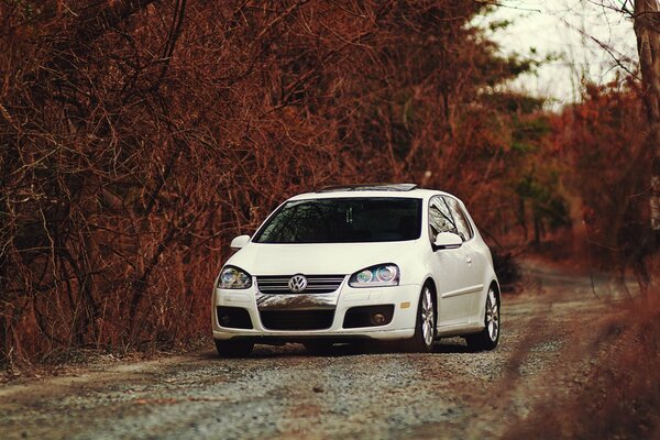 Coche blanco en la carretera en el bosque de otoño