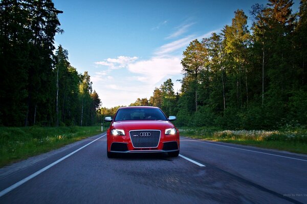 Rotes Auto auf der Straße vor dem Hintergrund von Laub und blauem Himmel