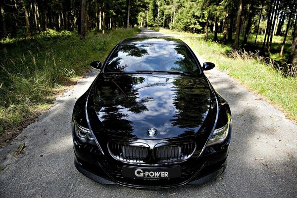 Photo of an aggressive black car in the woods