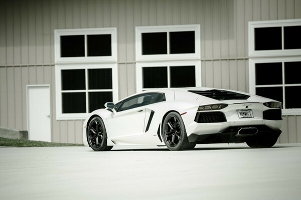 Foto en blanco y negro de un coche deportivo en casa