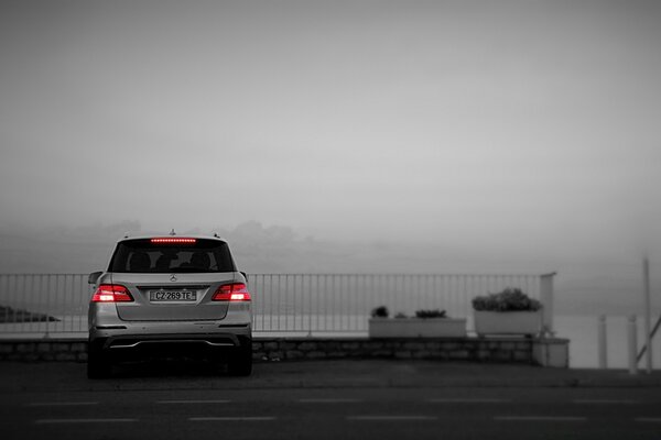 Car at the shore of the gloomy sea