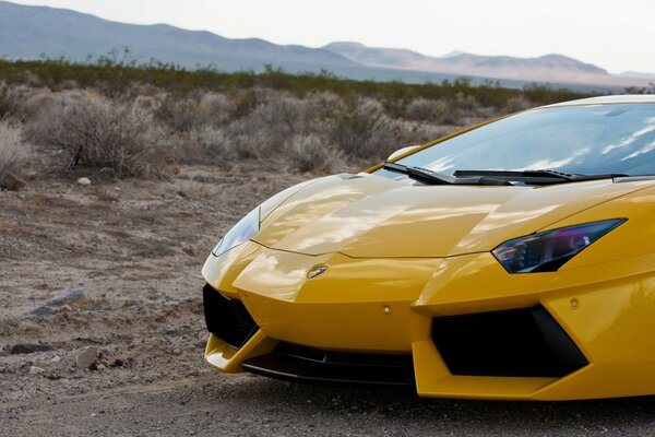 Coche deportivo amarillo en el desierto