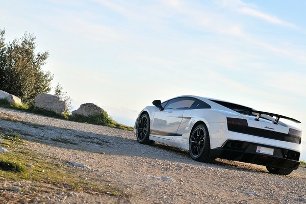 Luxury white car on a clear day background