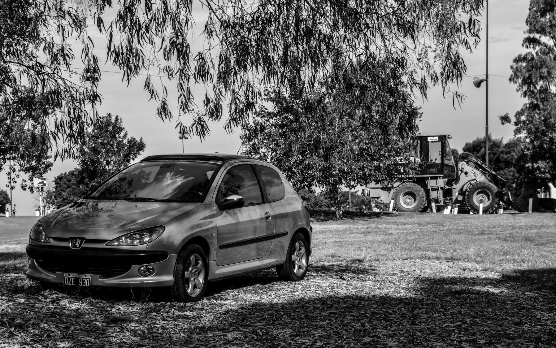 Peugeot 206 Oboi Dlya Rabochego Stola