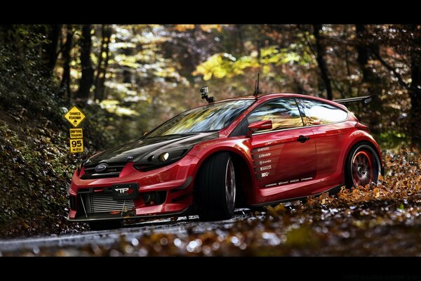 Hermoso coche conduce en el bosque de otoño