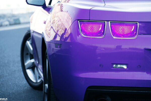 Purple car rear view