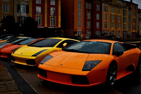 Varios coches Lamborghini en una fila