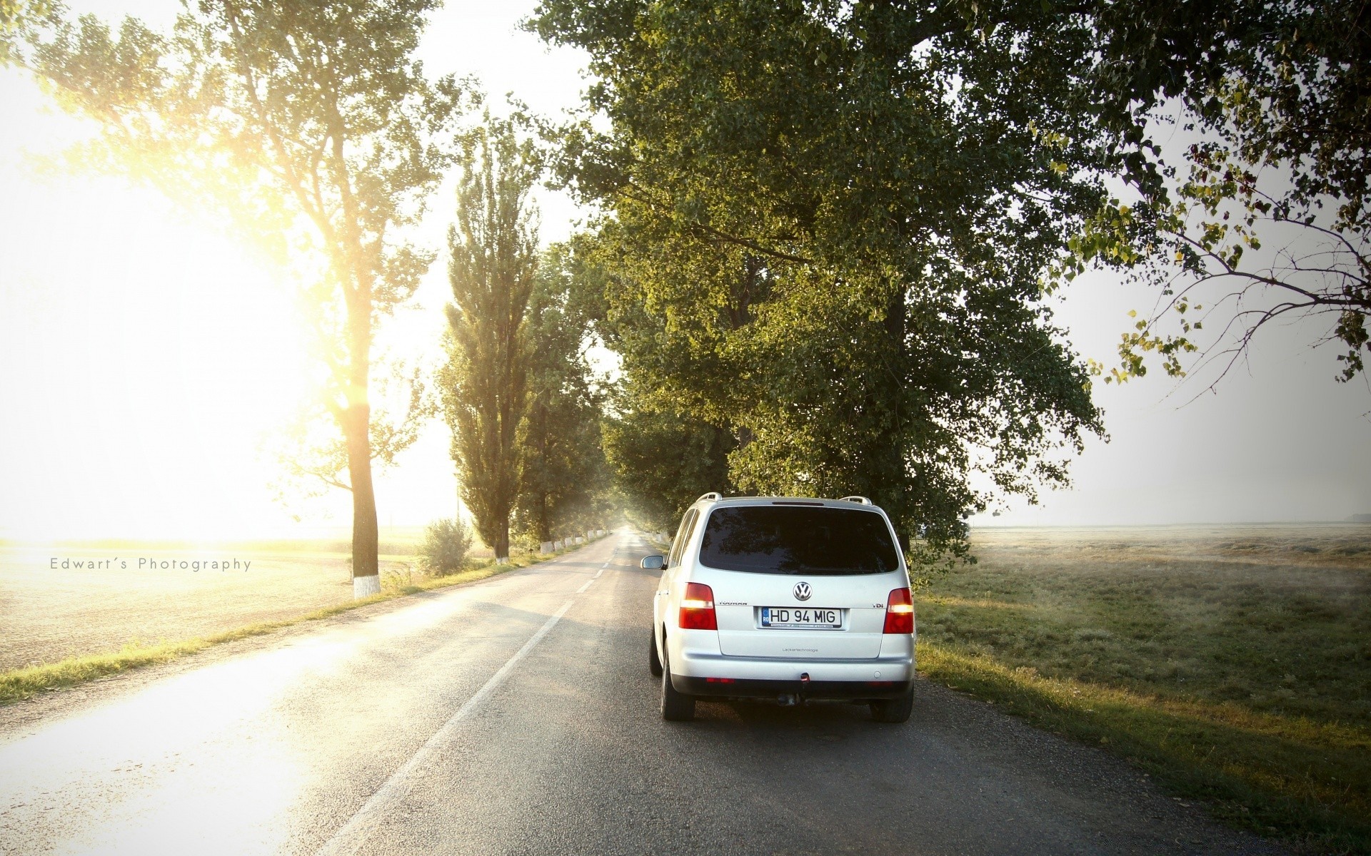 cars road car asphalt drive transportation system highway travel guidance nature street traffic outdoors blur sun landscape vehicle fast light