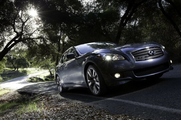 Car on the sidewalk against the background of the forest