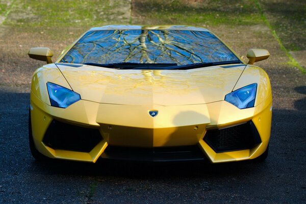 Voiture de sport pour les amateurs de vitesse