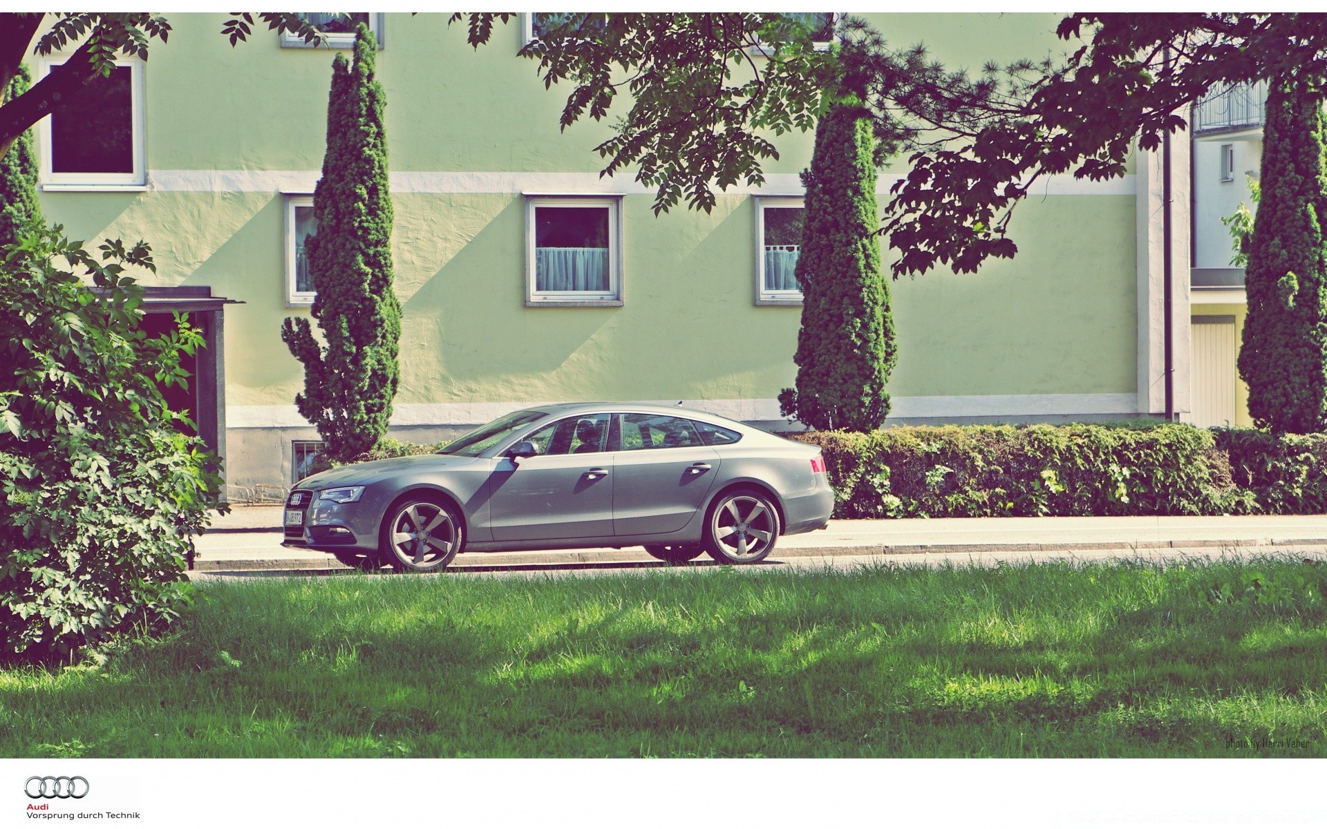 andere geräte auto haus bürgersteig häuser baum luxus rack familie garten auto