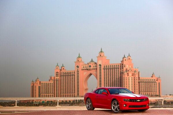 Passion and speed on the streets of Dubai