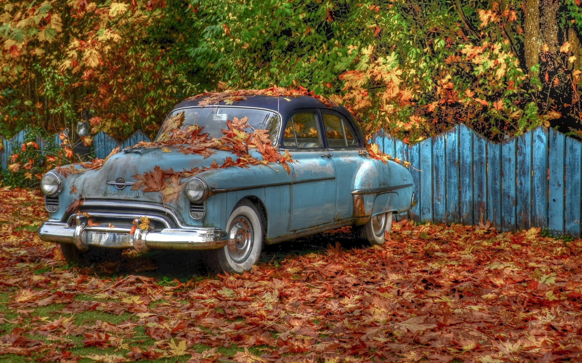 retro samochody samochód jesień samochód liść drewno park drewno