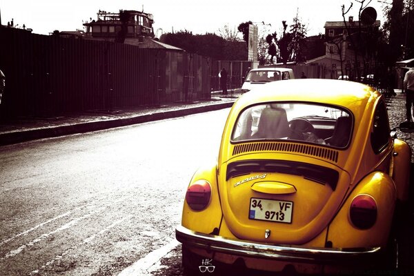 Yellow and wet asphalt