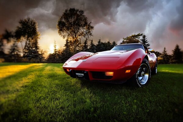 Red retro car on green grass