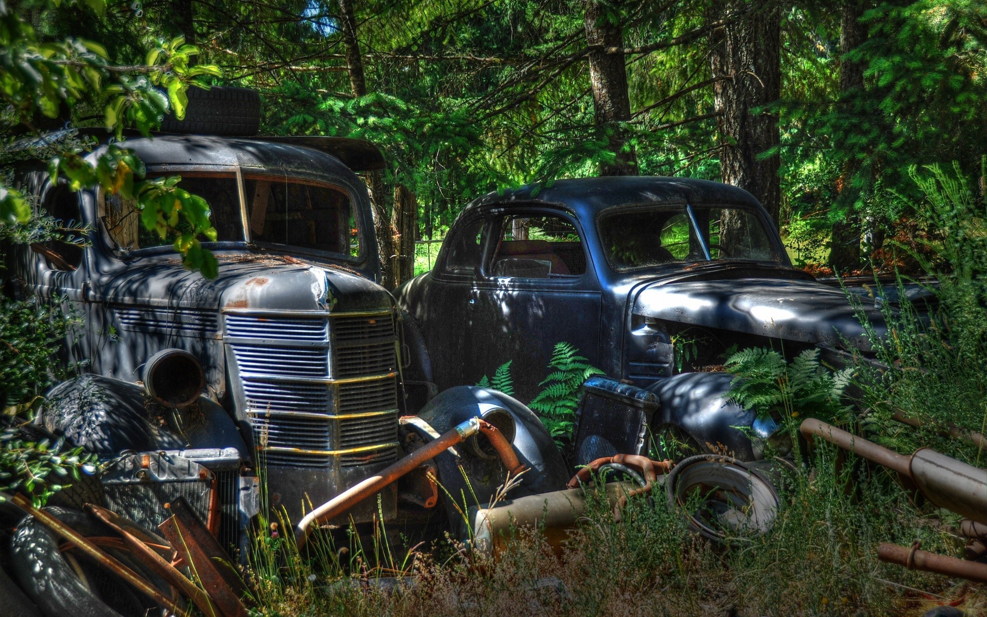 voitures rétro bois voiture véhicule système de transport bois roues lumière du jour route à l extérieur nature vintage accident