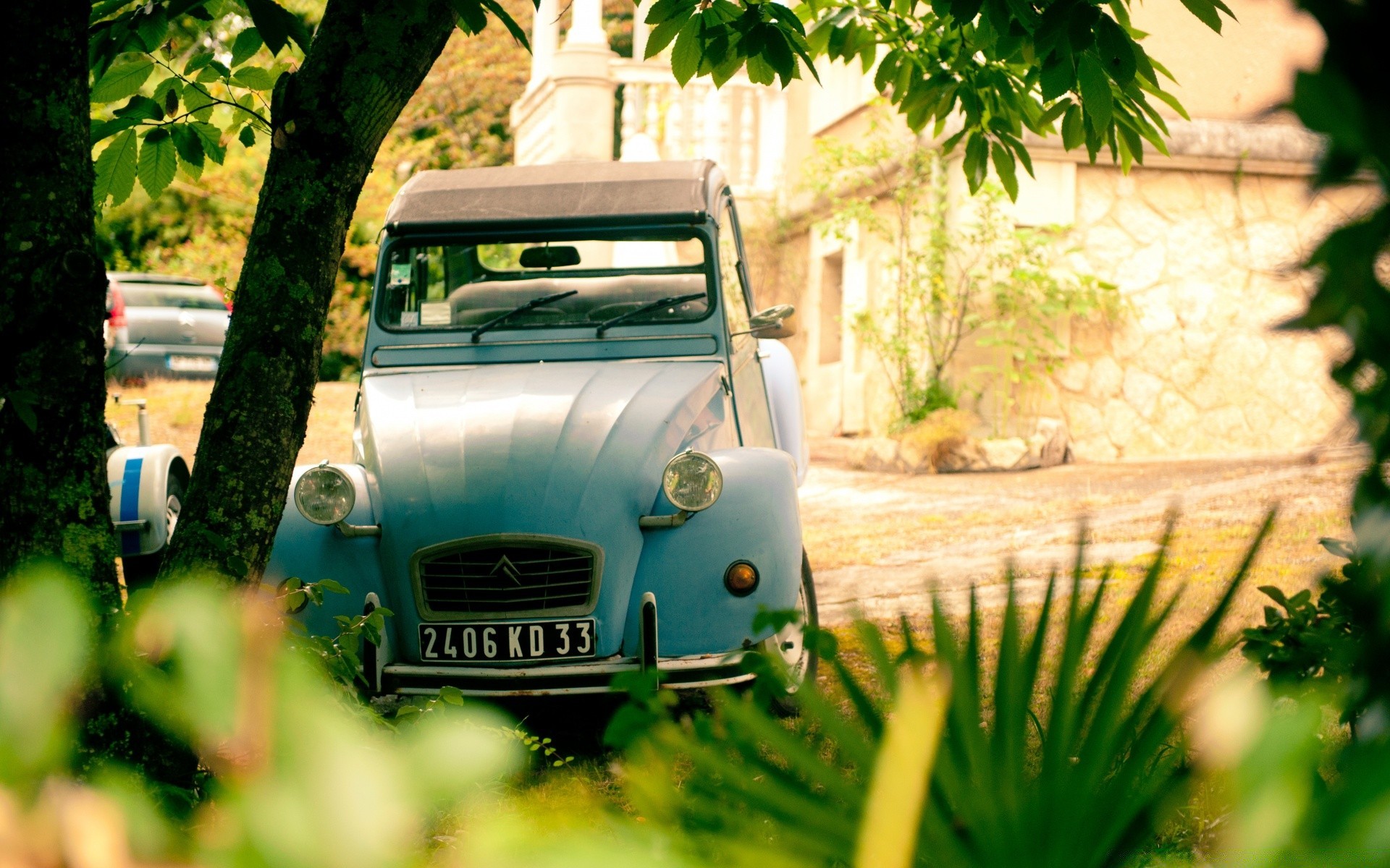 coches retro al aire libre verano coche naturaleza hierba viajes hoja jardín coche árbol buen tiempo madera flor