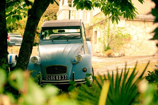 Blue retro car by the lawn