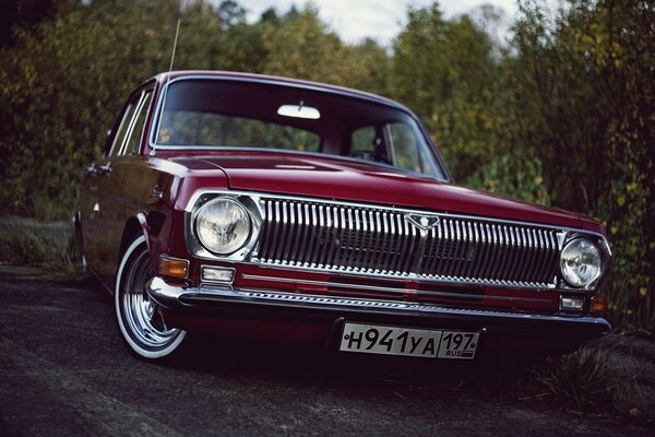 Retro cars and evening forest