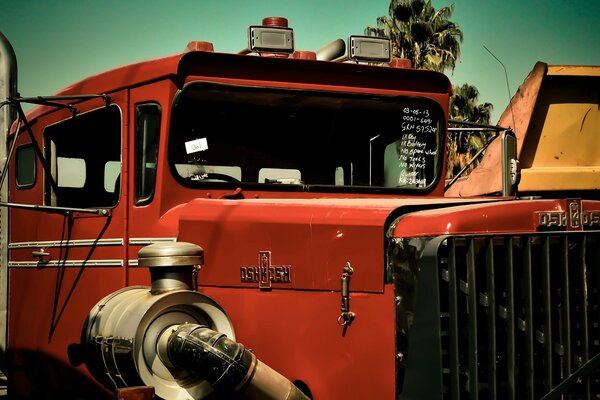 Camion rosso vicino alla palma